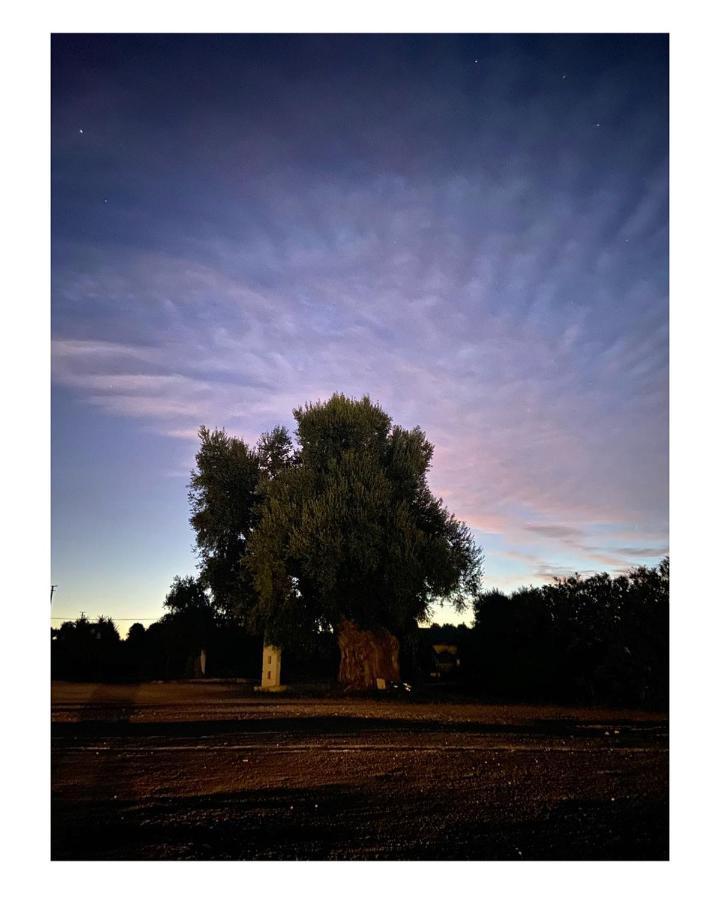 Masseria Conca D'Oro Ostuni Luaran gambar