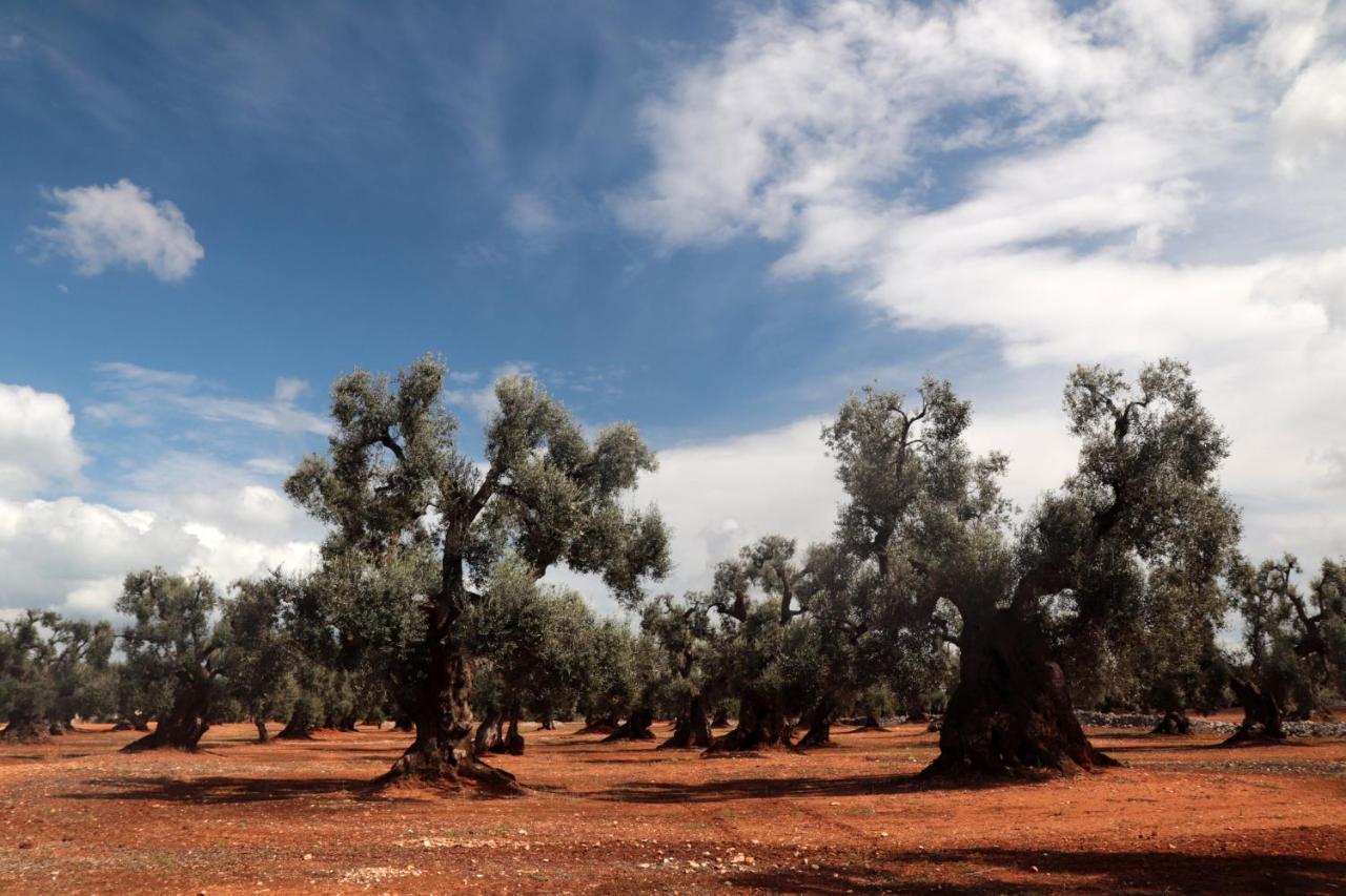 Masseria Conca D'Oro Ostuni Luaran gambar