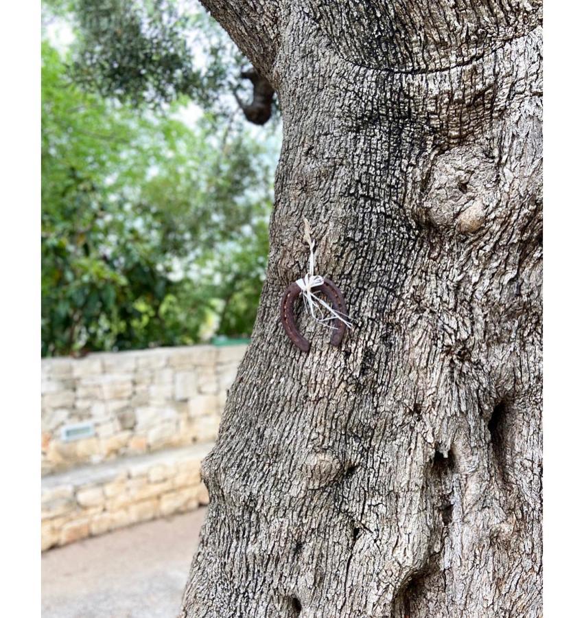 Masseria Conca D'Oro Ostuni Luaran gambar