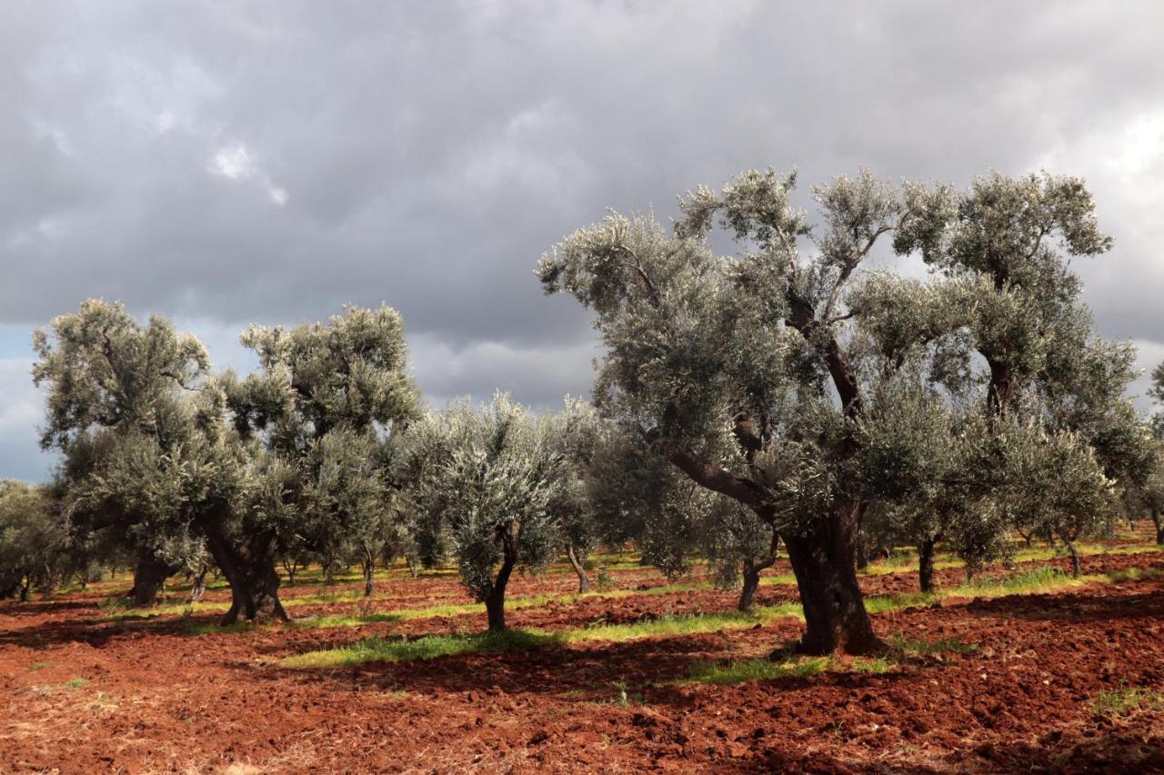 Masseria Conca D'Oro Ostuni Luaran gambar