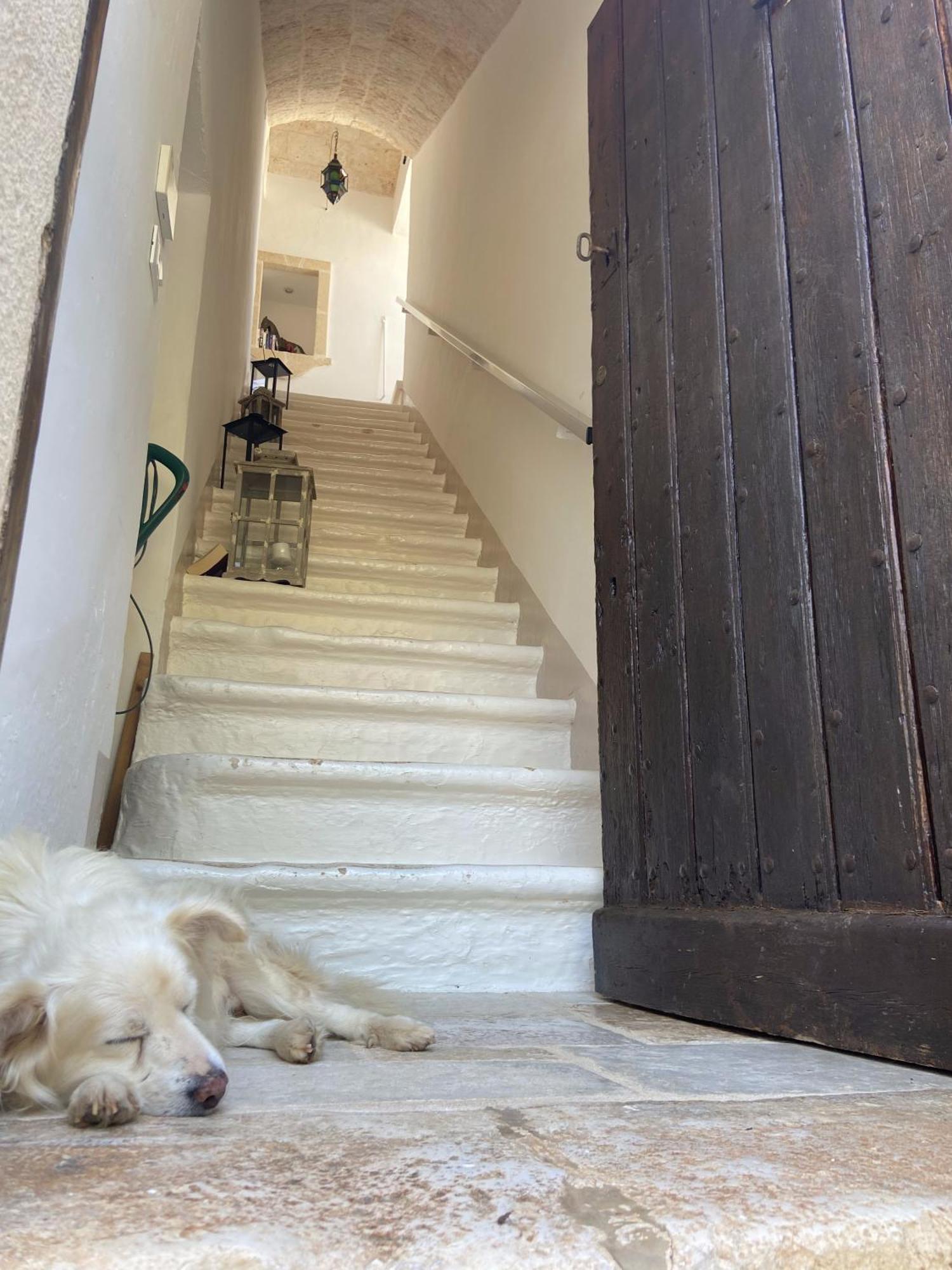 Masseria Conca D'Oro Ostuni Luaran gambar