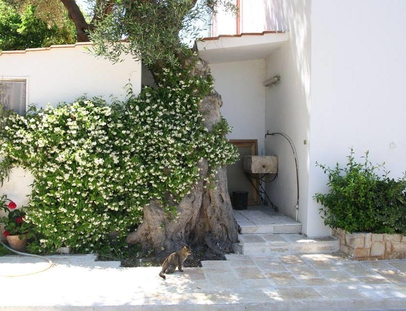 Masseria Conca D'Oro Ostuni Luaran gambar